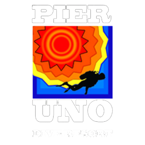 PIER UNO Logo - White